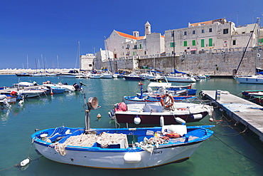 Fishing boats at the harbour, old town with cathedral, Giovinazzo, Bari district, Puglia, Italy, Europe