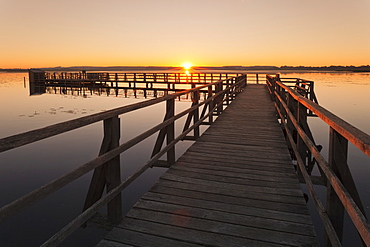 Federsee Lake at sunrise, Nature reserve, Bad Buchau, Upper Swabia, Baden-Wurttemberg, Germany, Europe