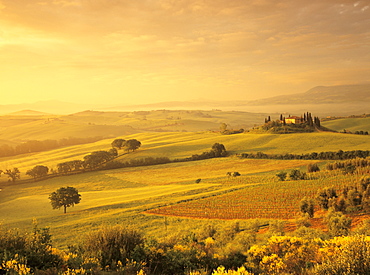 Farmhouse Belvedere at sunrise, UNESCO World Heritage Site, Val d'Orcia, San Quirico, Province Siena, Tuscany, Italy, Europe