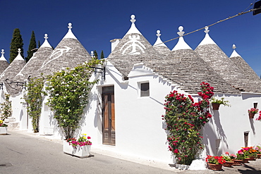 Trulli, traditional houses, Rione Monti area, Alberobello, UNESCO World Heritage Site, Valle d'Itria, Bari district, Puglia, Italy, Europe