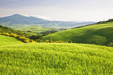 Hilly landscape Val d'Orcia, UNESCO World Heritage Site, with Monte Amiata in the background, Province Siena, Tuscany, Italy, Europe