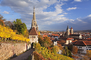 View from vineyards to Esslingen with St. Dionys church and Frauenkirche church, Esslingen, Baden-Wurttemberg, Germany, Europe