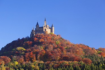 Hohenzollern Castle in autumn, Swabian Alps, Baden-Wurttemberg, Germany, Europe