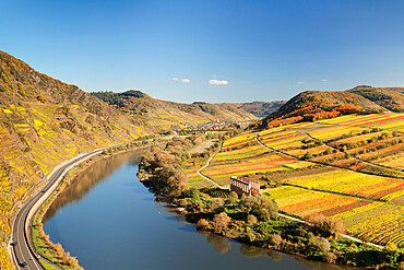 Loop of Moselle River near Bremm with ruined abbey Stuben, Rhineland-Palatinate, Germany, Europe