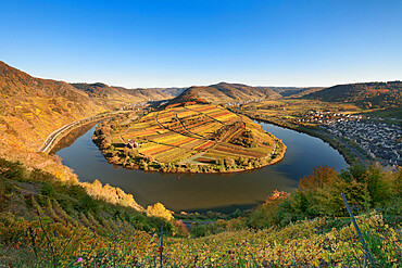 Loop of Moselle River with Calmont Hill near Bremm, Rhineland-Palatinate, Germany, Europe