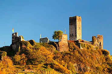 Metternich Castle Ruins, Beilstein, Rhineland-Palatinate, Germany, Europe