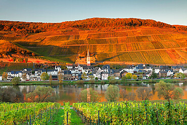 View of Merl district, Moselle Valley, Zell an der Mosel, Rhineland-Palatinate, Germany, Europe