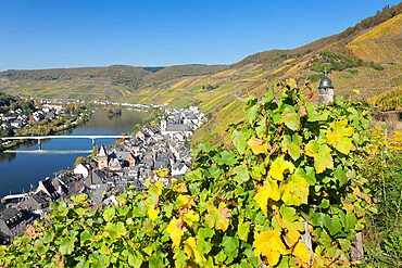 Town of Zell on Moselle River, Runder Turm Tower, Rhineland-Palatinate, Germany, Europe