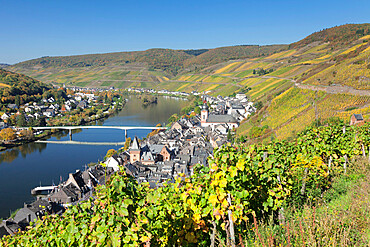 Town of Zell on Moselle River, Rhineland-Palatinate, Germany, Europe