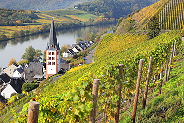 View of Merl district, Moselle Valley, Zell an der Mosel, Rhineland-Palatinate, Germany, Europe