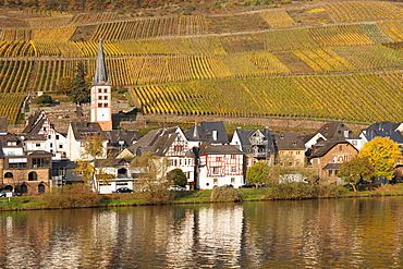 View of Merl district, Moselle Valley, Zell an der Mosel, Rhineland-Palatinate, Germany, Europe