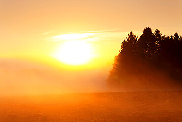 Landscape with early morning fog at sunrise in autumn, Hunsruck, Rhineland-Palatinate, Germany, Europe