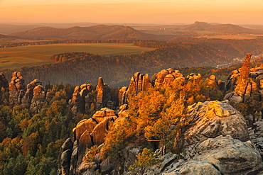 Schrammstein rocks at sunrise in Elbe Sandstone Mountains, Germany, Europe