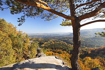 View from Schrammsteine rocks to Hohe Liebe mountain in Elbe Sandstone Mountains, Germany, Europe