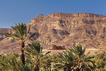 Tamnougalt Kasbah, Draa Valley, Jebel Kissane behind, Zagora Province, Morocco, North Africa, Africa