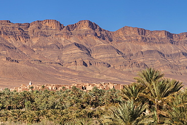 View over Draa Valley to Tamnougalt, Atlas Mountains, Morocco, North Africa, Africa