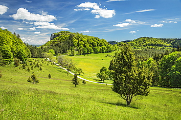 Lochenstein mountains, near Balingen, Swabian Jura, Baden-Wurttemberg, Germany, Europe