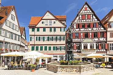 Street cafes at Neptunbrunnen fountain, market square, Tubingen, Baden-Wurttemberg, Germany, Europe