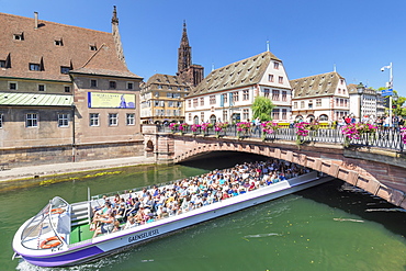 Excursion boat on River Ill, Historical Museum and Cathedral, Strasbourg, Alsace, France, Europe