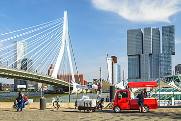 Nieuwe Maas River, Erasmus Bridge and Skyline, Rotterdam, South Holland, Netherlands, Europe