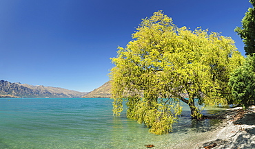 At the shore of Lake Wakatipu, Queenstown, Otago, South Island, New Zealand, Pacific