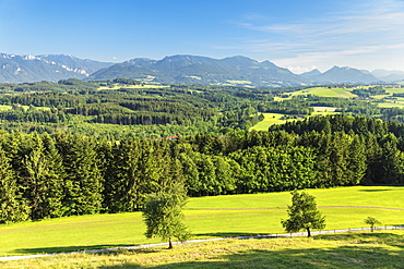 View from at Ratzinger Hoehe to Chiemgau Alps, Riemsting, Upper Bavaria, Germany, Europe