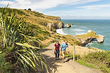 Hiking path to Tunnel Beach, Dunedin, Otago, South Island, New Zealand, Pacific