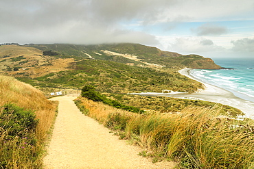 Sandfly Bay, Dunedin, Otago, South Island, New Zealand, Pacific