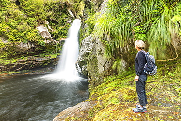 Wainui Falls, Wainui Falls Track, Golden Bay, Tasman, South Island, New Zealand, Pacific