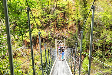 Suspension Bridge over Wainui River, Wainui Falls Track, Golden Bay, Tasman, South Island, New Zealand, Pacific