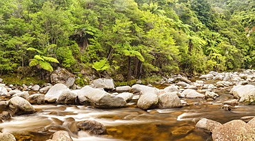 Wainui River, Wainui Falls Track, Golden Bay, Tasman, South Island, New Zealand, Pacific