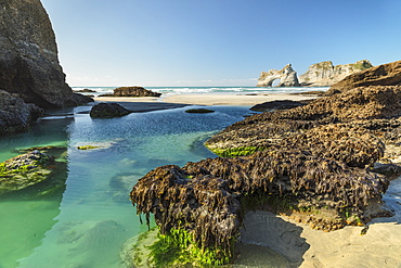 Wharariki Beach, Golden Bay, Tasman, South Island, New Zealand, Pacific