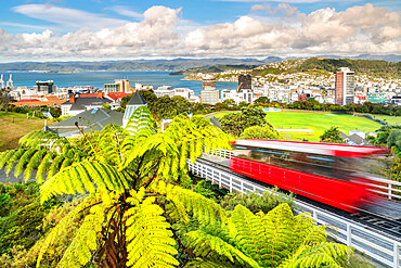 Cable Car, view over Wellington, North Island, New Zealand, Pacific