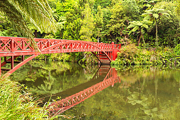 Pukekura Park, botanical garden, New Plymouth, Taranaki, North Island, New Zealand, Pacific