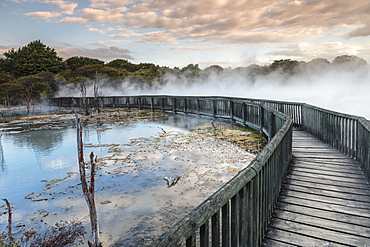 Kuirau Park, geothermics, Rotorua, Bay of Plenty, North Island, New Zealand, Pacific