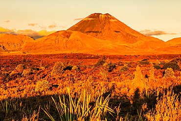 Mount Ngauruhoe, Tongariro National Park, UNESCO World Heritage Site, North Island, New Zealand, Pacific