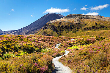 Mount Ngauruhoe, Tongariro Alpine Crossing, Tongariro National Park, UNESCO World Heritage Site, North Island, New Zealand, Pacific