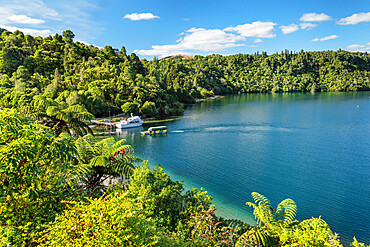 Lake Tarawera, Rotorua, North Island, New Zealand, Pacific