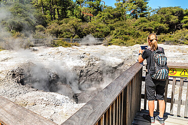 Wai-O-Tapu Thermal Wonderland, Rotorua, Bay of Plenty, North Island, New Zealand, Pacific