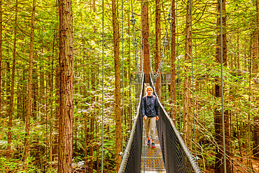 Redwood Treewalk, Canopy Pathway, Rotorua, Bay of Plenty, North Island, New Zealand, Pacific