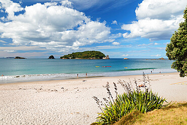 Hahei Beach, Coromandel Peninsula, Waikato, North Island, New Zealand, Pacific