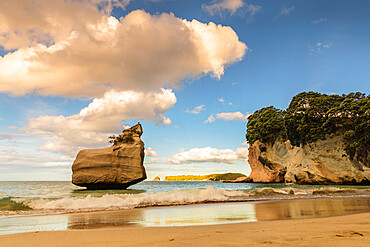 Beach of Mare's Leg Cove, Cathedral Cove Marine Reserve, Coromandel Peninsula, Waikato, North Island, New Zealand, Pacific