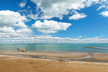 Firth of Thames, Waikato, North Island, New Zealand, Pacific