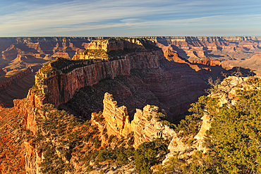 View from Cape Royal, North Rim, Grand Canyon National Park, UNESCO World Heritage Site, Arizona, United States of America, North America