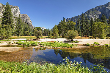 Merced River in Yosemite Valley, Yosemite National Park, UNESCO World Heritage Site, California, United States of America, North America