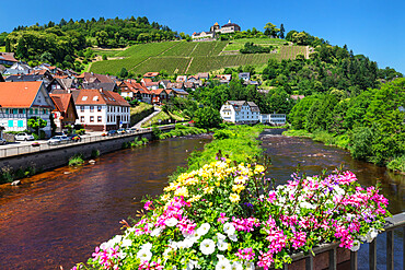 Eberstein Castle, Gernsbach, Murgtal Valley, Black Forest, Baden Wurttemberg, Germany, Europe