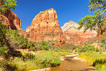 Virgin River und Angel's Landing, Zion National Park, Colorado Plateau, Utah, United States of America, North America