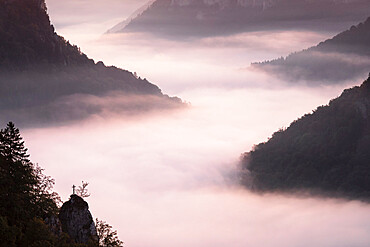 View from Eichfelsen Rock into Danube Gorge at sunrise, Upper Danube Nature Park, Swabian Alps, Baden-Wurttemberg, Germany, Europe