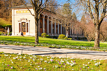 Crocus flowers in front of the Pump Room in Baden-Baden, Black Forest, Baden-Wurttemberg, Germany, Europe