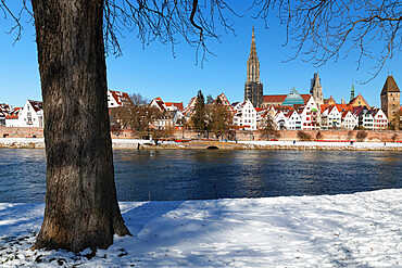 View over Danube River to Ulm Cathedral, Ulm, Swabian Alps, Baden-Wurttemberg, Germany, Europe